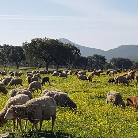 Villa La Rinconada *